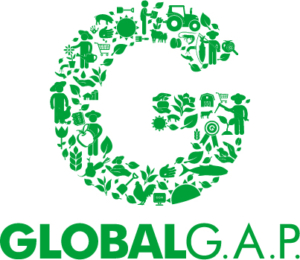 Globalg.a.p. Web Logo Green Rgb